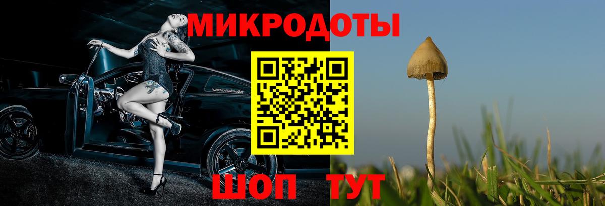 Псилоцибиновые грибы Psilocybine cubensis  Вход с VPN  где купить наркоту  Ачхой-Мартан 